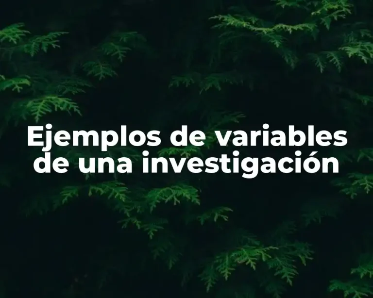 Ejemplos de variables de una investigación