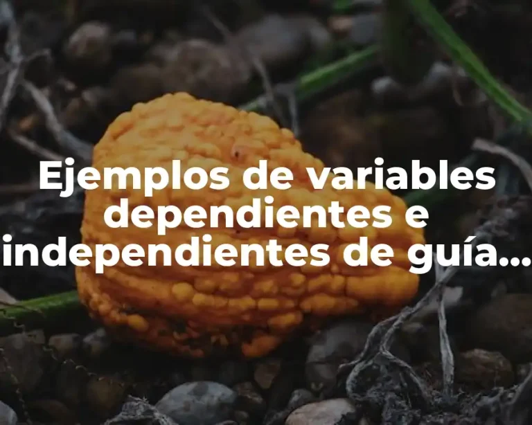Ejemplos de variables dependientes e independientes de guía de turista