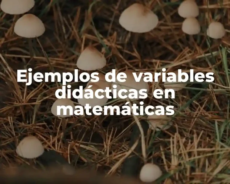 Ejemplos de variables didácticas en matemáticas