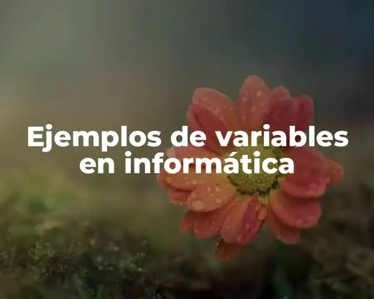 Ejemplos de variables en informática