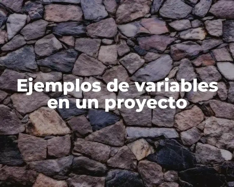Ejemplos de variables en un proyecto