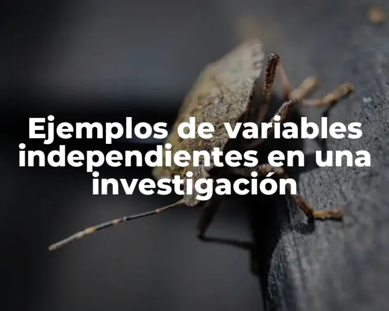 Ejemplos de variables independientes en una investigación
