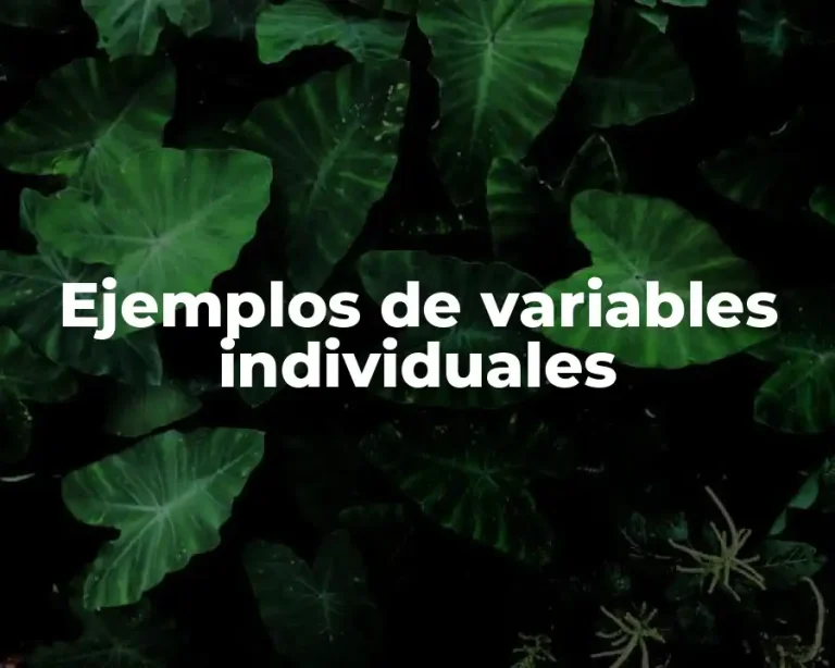 Ejemplos de variables individuales