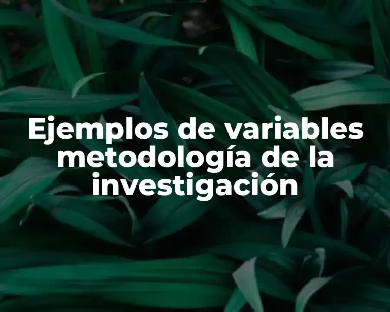 Ejemplos de variables metodología de la investigación