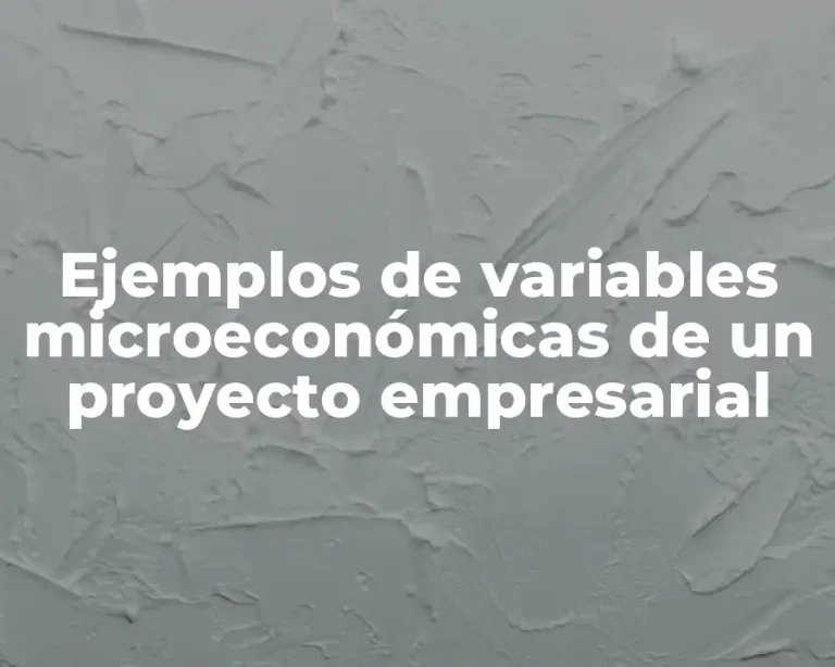Ejemplos de variables microeconómicas de un proyecto empresarial