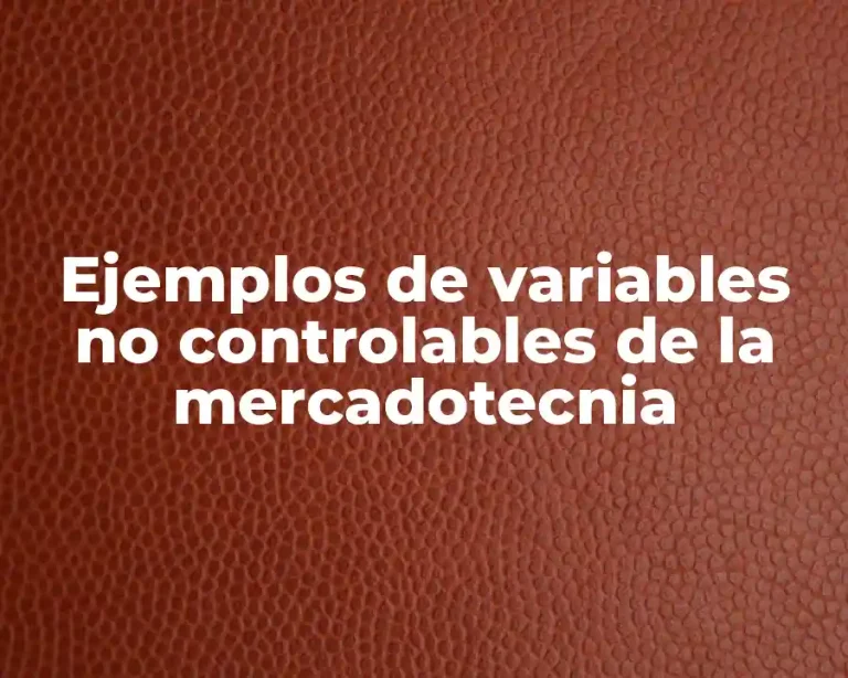 Ejemplos de variables no controlables de la mercadotecnia