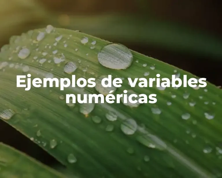 Ejemplos de variables numéricas
