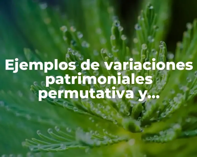 Ejemplos de variaciones patrimoniales permutativa y modificativa