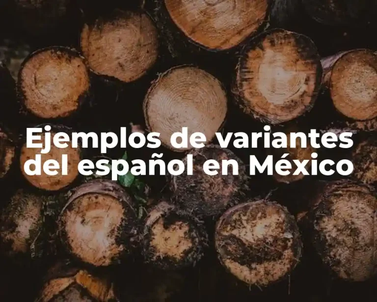 Ejemplos de variantes del español en México