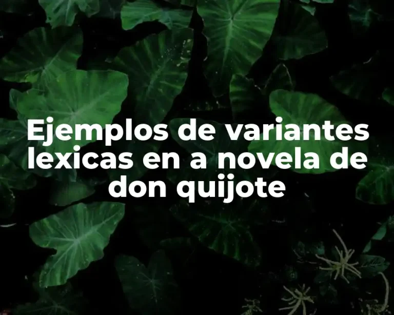 Ejemplos de variantes lexicas en a novela de don quijote