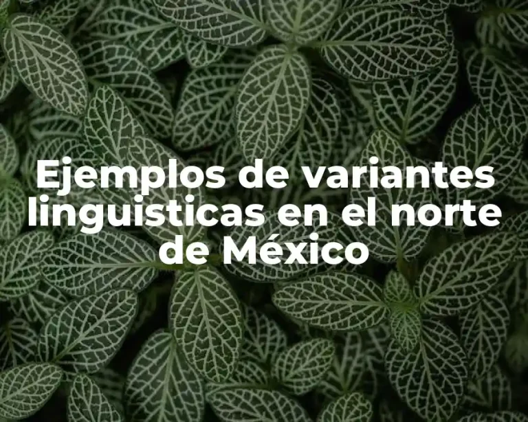 Ejemplos de variantes linguisticas en el norte de México