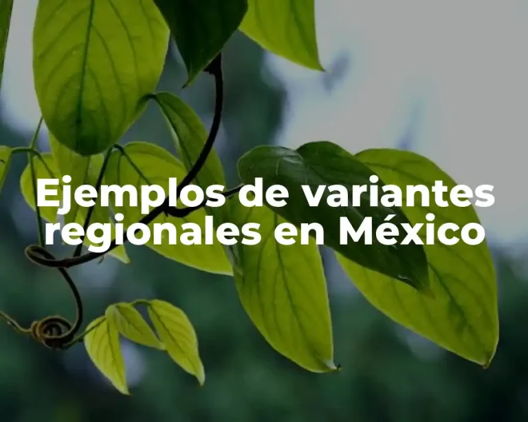 Ejemplos de variantes regionales en México