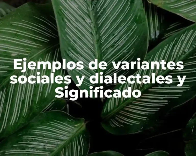 Ejemplos de variantes sociales y dialectales y Significado