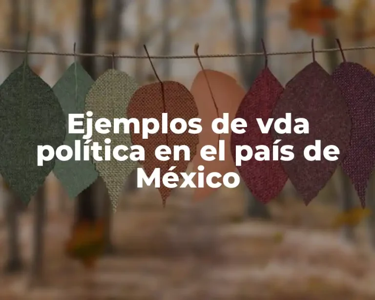 Ejemplos de vda política en el país de México