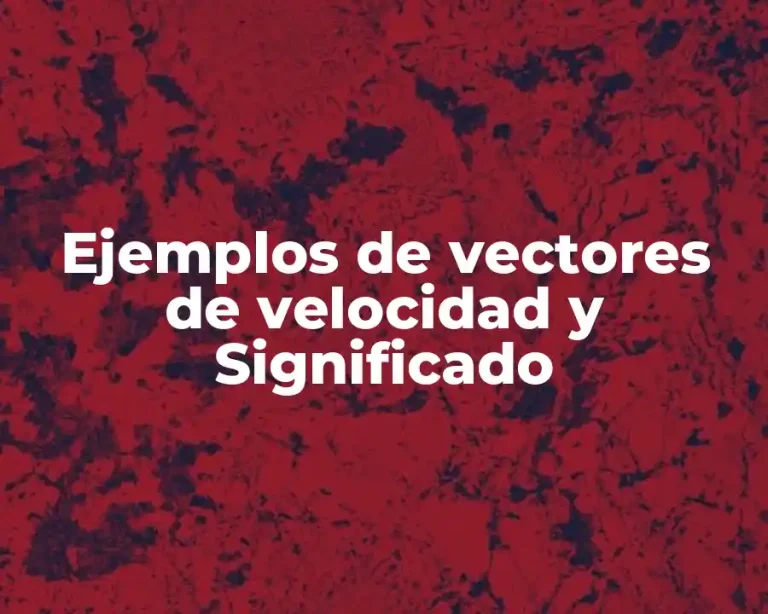 Ejemplos de vectores de velocidad y Significado