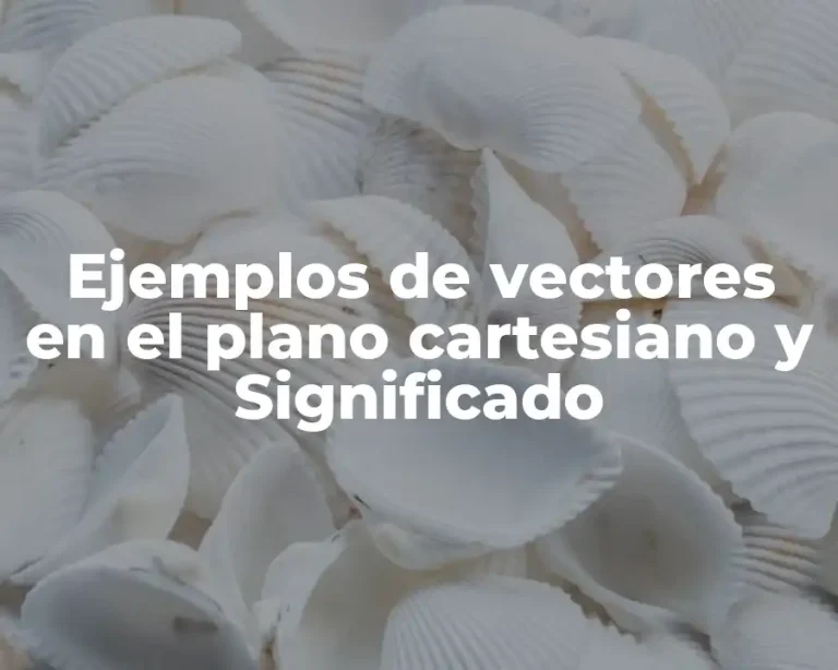 Ejemplos de vectores en el plano cartesiano y Significado