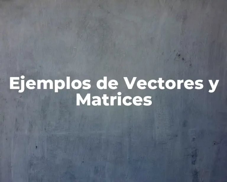 Ejemplos de Vectores y Matrices