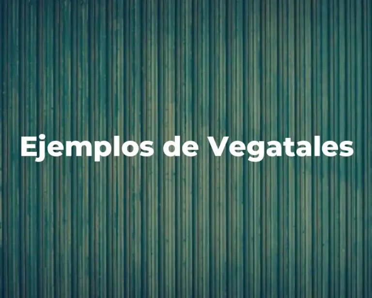 Ejemplos de Vegatales
