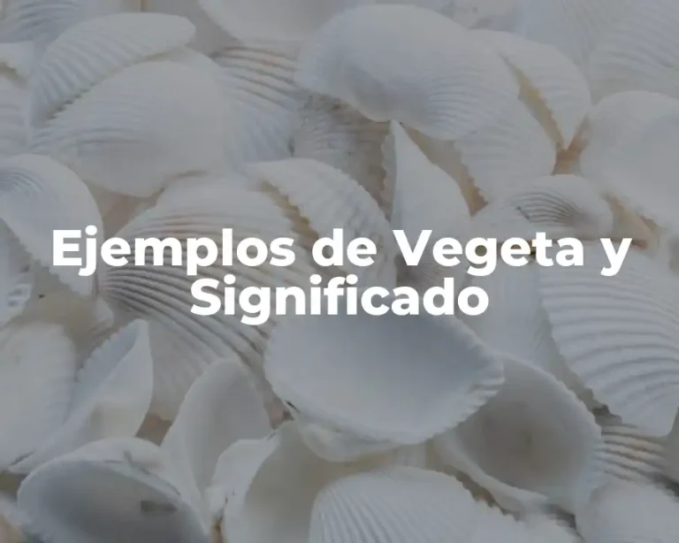 Ejemplos de Vegeta y Significado