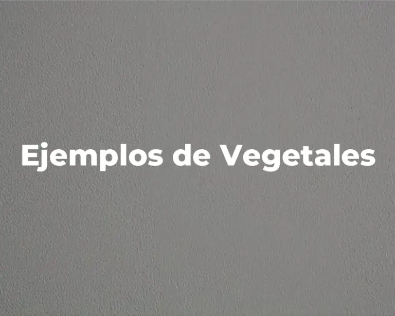 Ejemplos de Vegetales