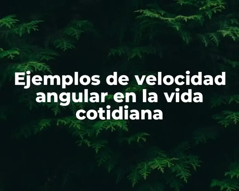 Ejemplos de velocidad angular en la vida cotidiana