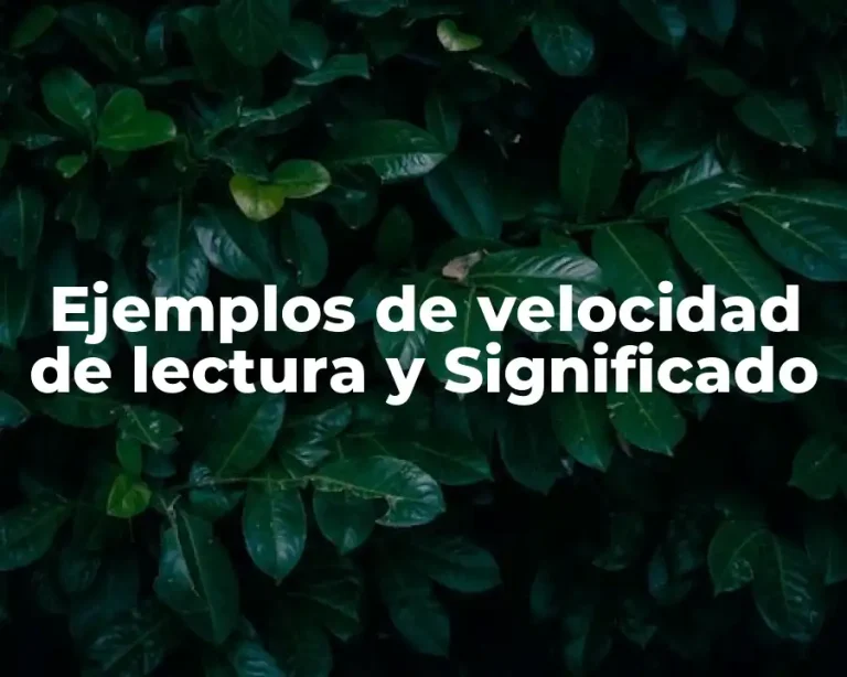 Ejemplos de velocidad de lectura y Significado