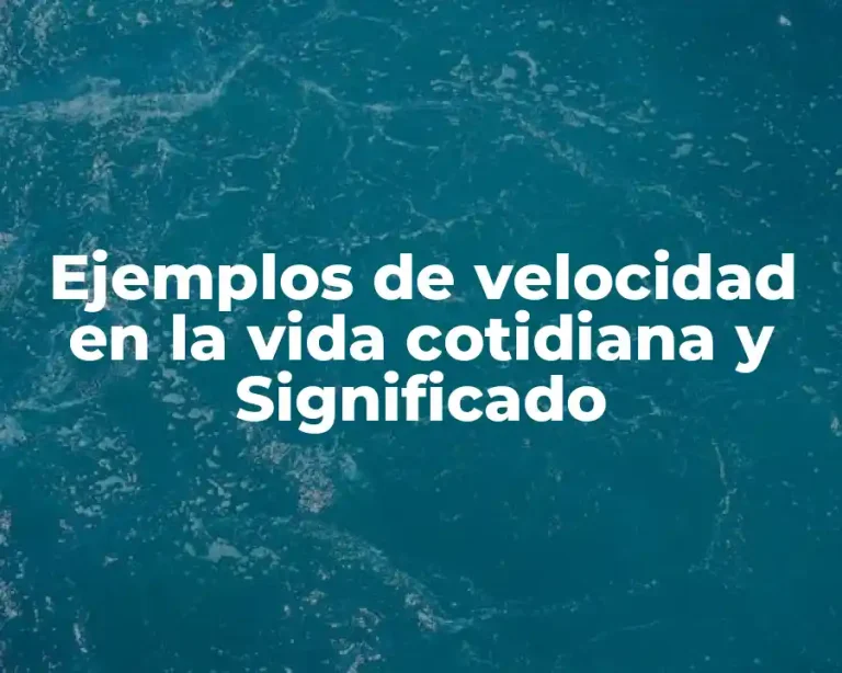 Ejemplos de velocidad en la vida cotidiana y Significado