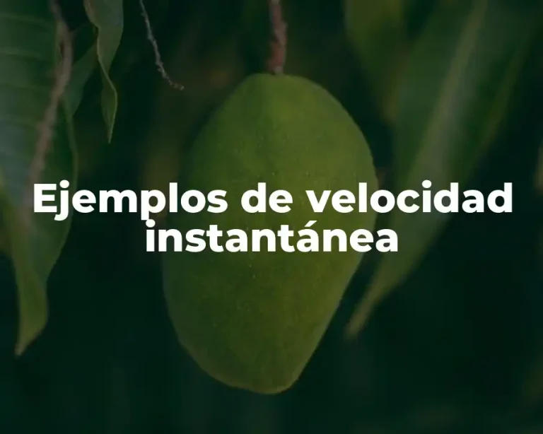 Ejemplos de velocidad instantánea