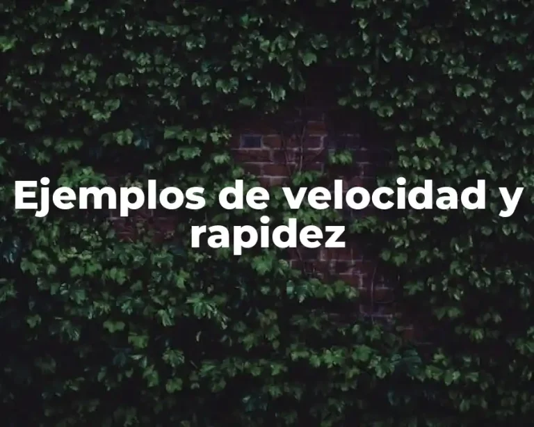 Ejemplos de velocidad y rapidez
