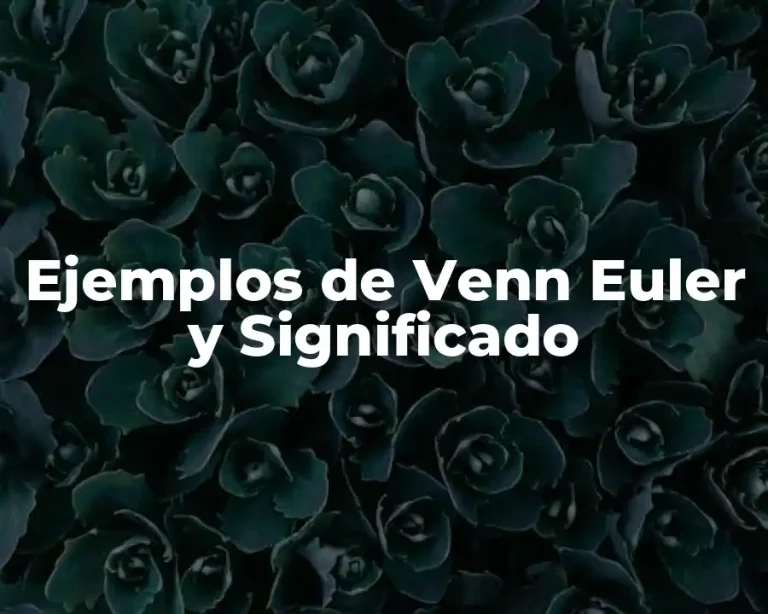Ejemplos de Venn Euler y Significado