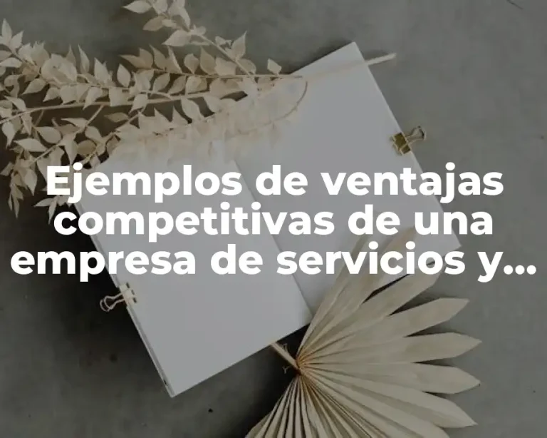 Ejemplos de ventajas competitivas de una empresa de servicios y Significado