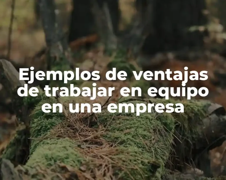 Ejemplos de ventajas de trabajar en equipo en una empresa
