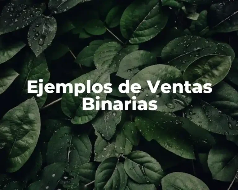 Ejemplos de Ventas Binarias