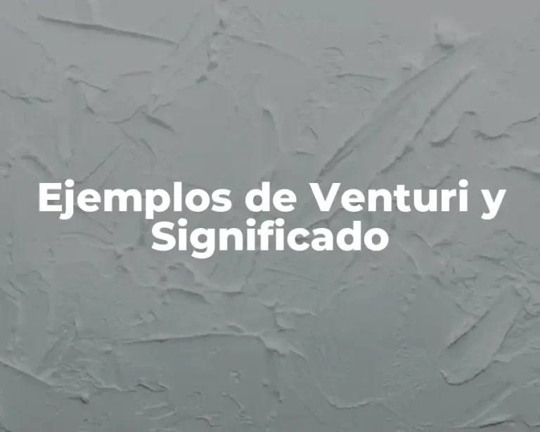 Ejemplos de Venturi y Significado