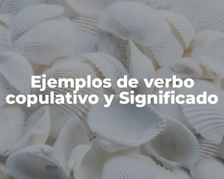 Ejemplos de verbo copulativo y Significado