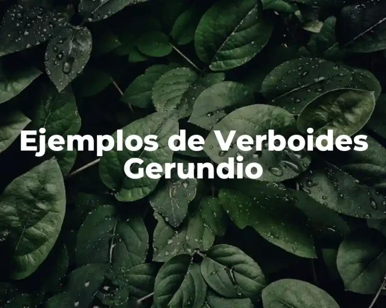 Ejemplos de Verboides Gerundio