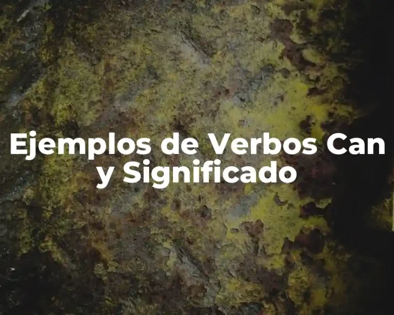 Ejemplos de Verbos Can y Significado