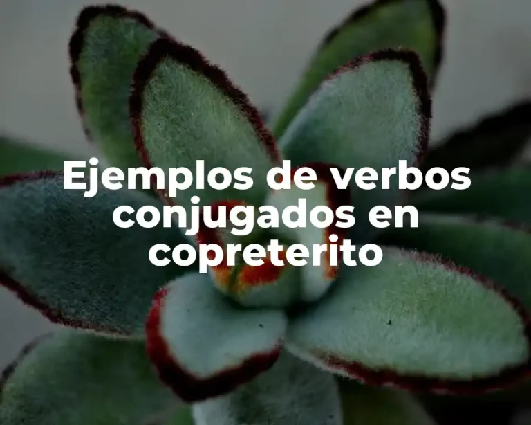 Ejemplos de verbos conjugados en copreterito