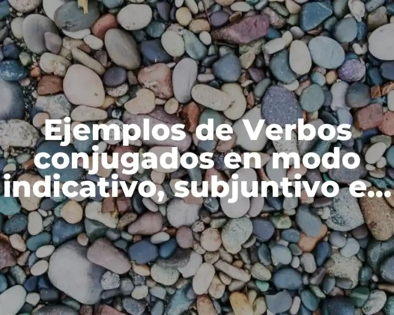 Ejemplos de Verbos conjugados en modo indicativo, subjuntivo e imperativo