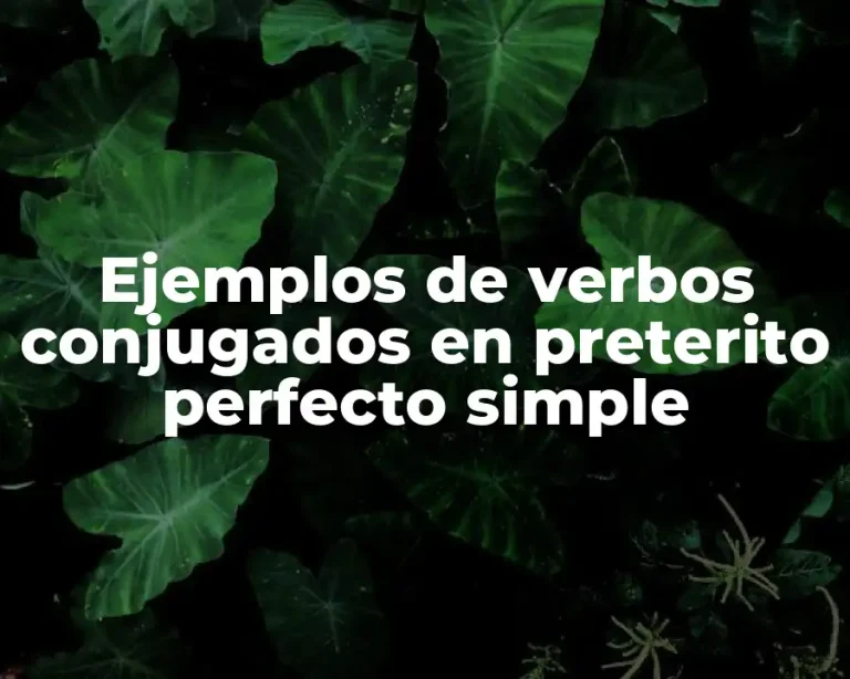 Ejemplos de verbos conjugados en preterito perfecto simple
