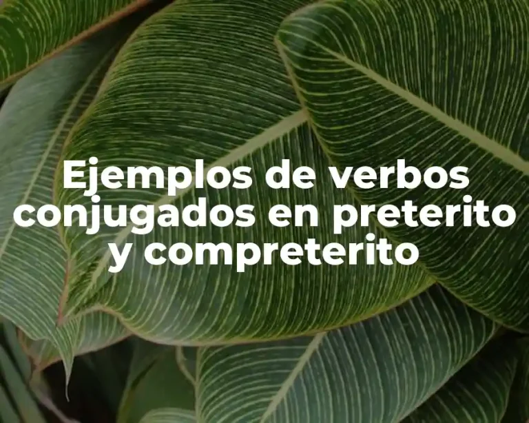 Ejemplos de verbos conjugados en preterito y compreterito