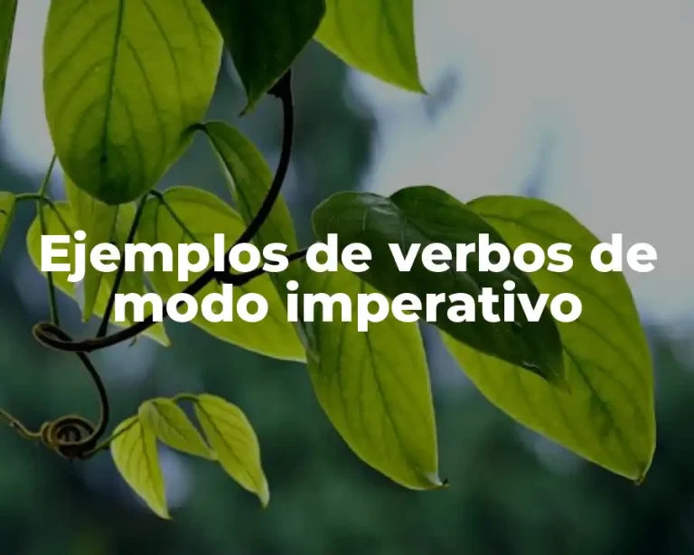 Ejemplos de verbos de modo imperativo