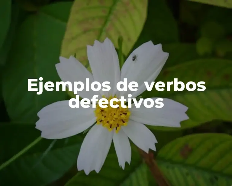 Ejemplos de verbos defectivos