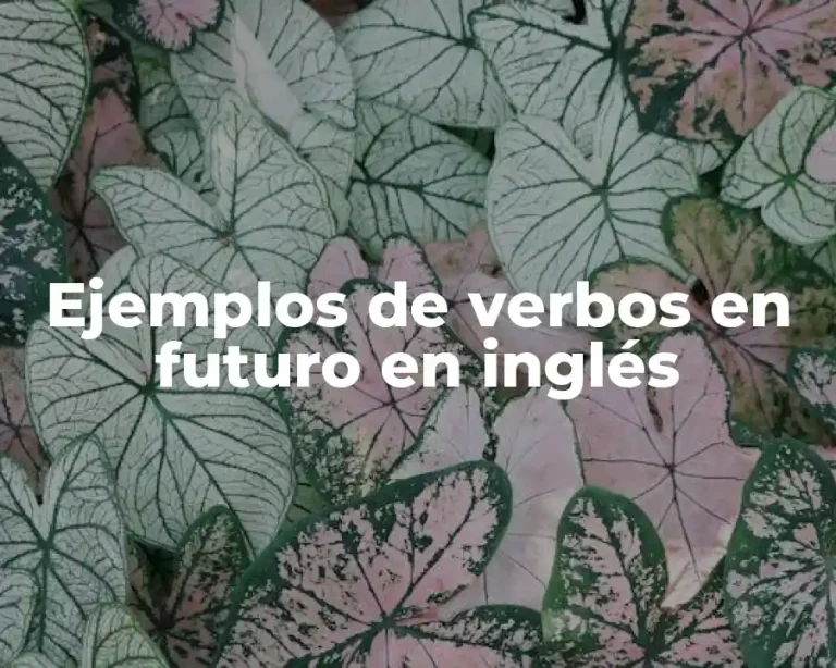 Ejemplos de verbos en futuro en inglés