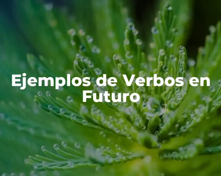Ejemplos de Verbos en Futuro