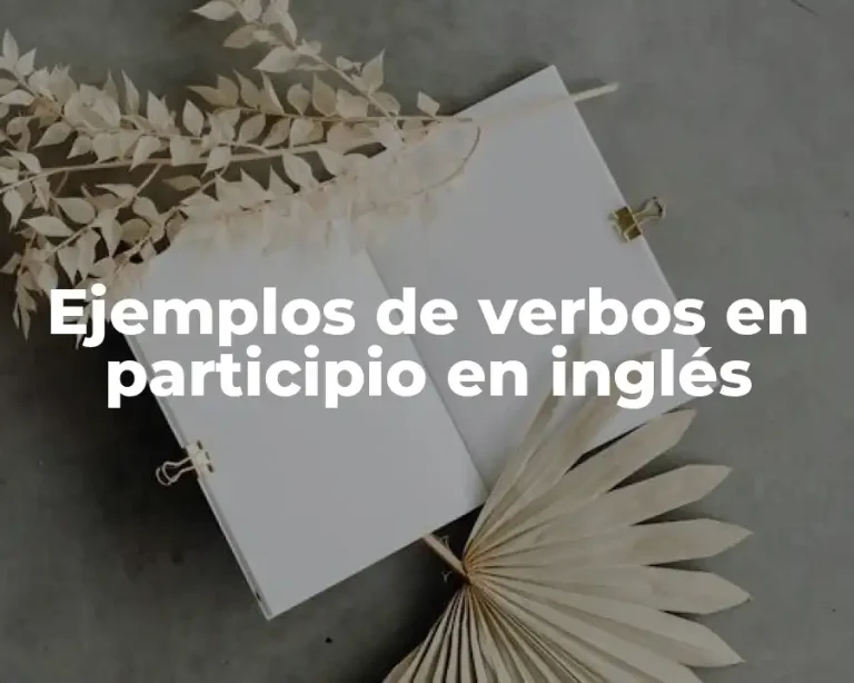 Ejemplos de verbos en participio en inglés
