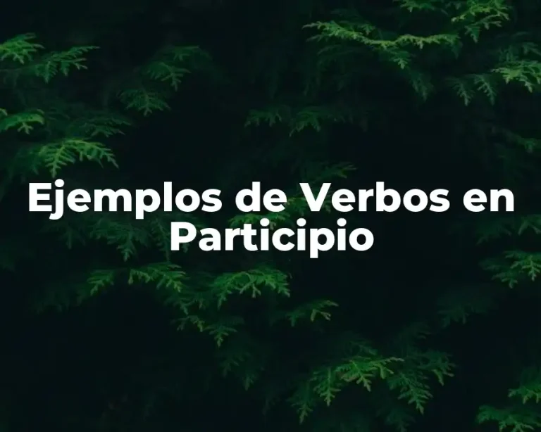 Ejemplos de Verbos en Participio