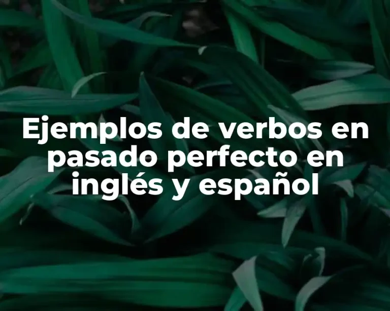 Ejemplos de verbos en pasado perfecto en inglés y español