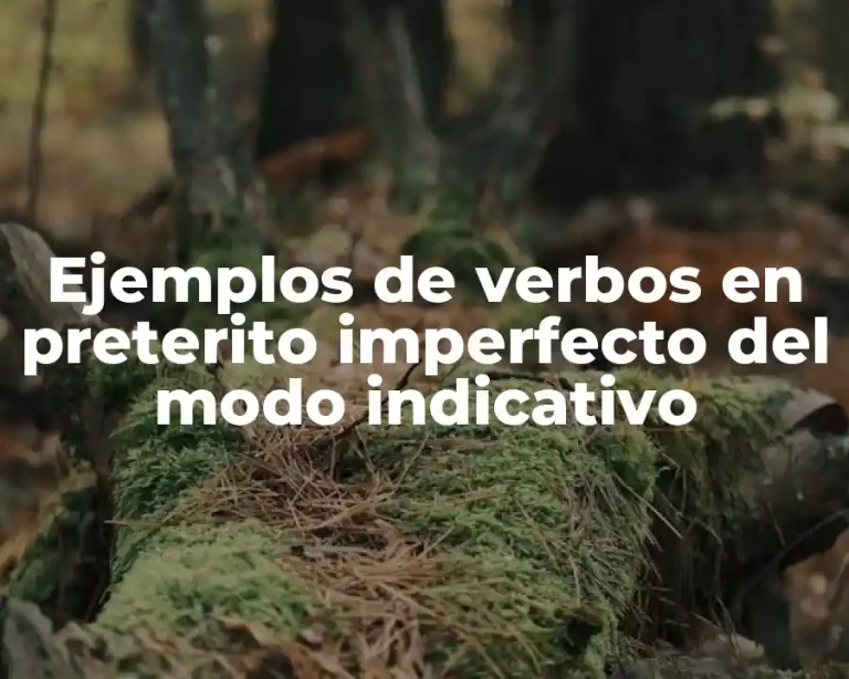 Ejemplos de verbos en preterito imperfecto del modo indicativo