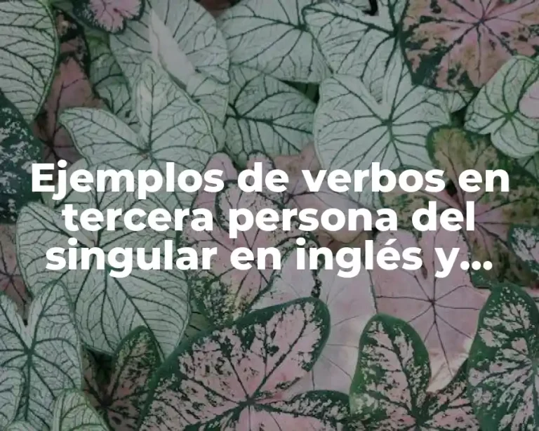 Ejemplos de verbos en tercera persona del singular en inglés y Significado